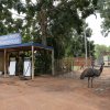 Hann River Roadhouse, Cape York