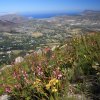 Blick vom Chapman's Peak 