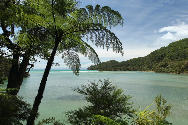 Abel Tasman Coast Track