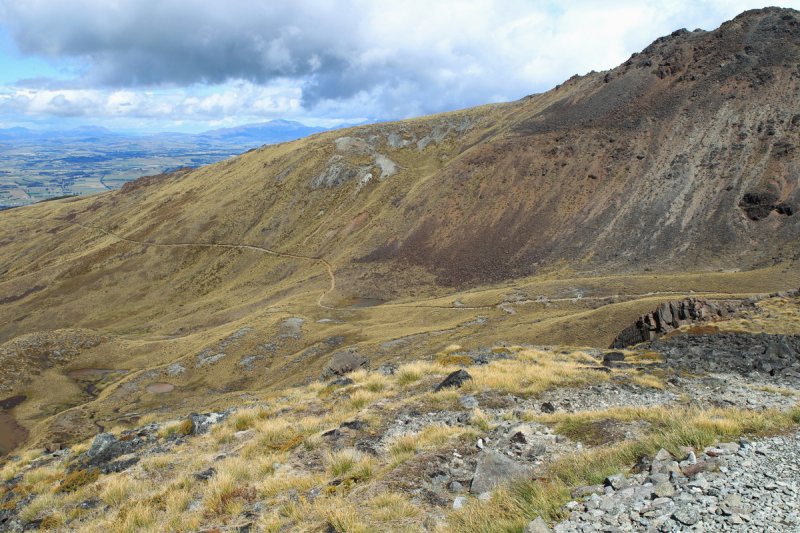 Kepler Track