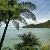 Abel Tasman Coast Track