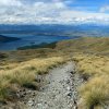 Kepler Track