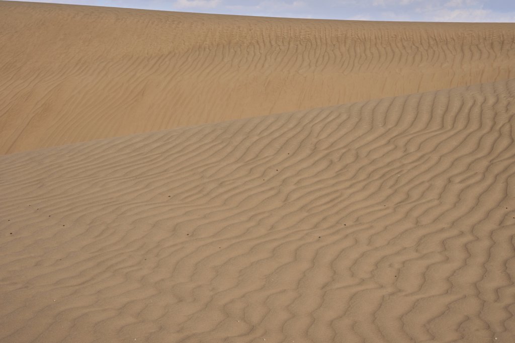 Wahiba-Wüste
