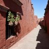 Kloster Santa Catalina, Arequipa