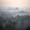 Morgennebel, Borobodur